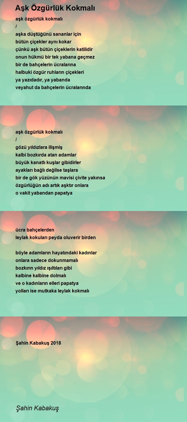 Şahin Kabakuş