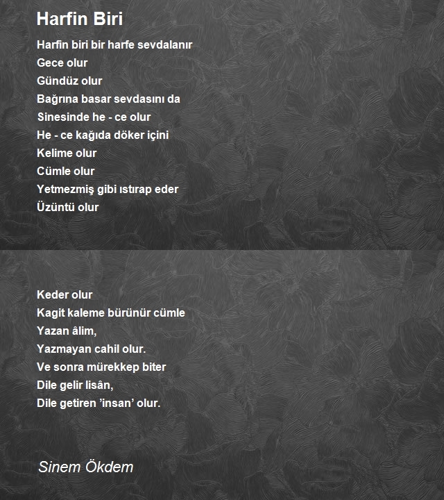 Sinem Ökdem