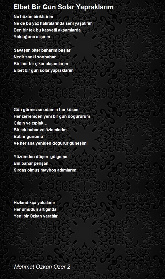 Mehmet Özkan Özer 2