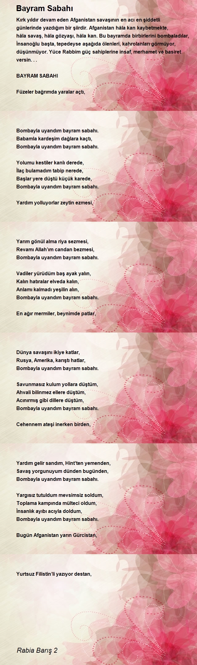 Rabia Barış 2