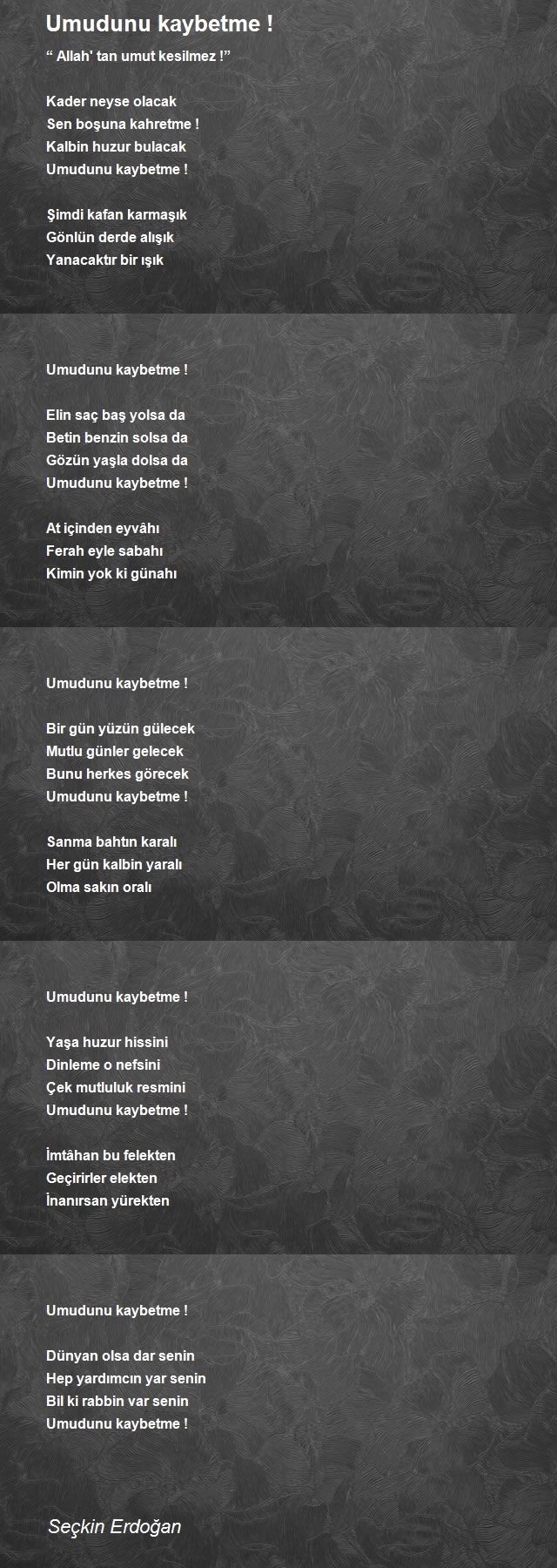 Seçkin Erdoğan