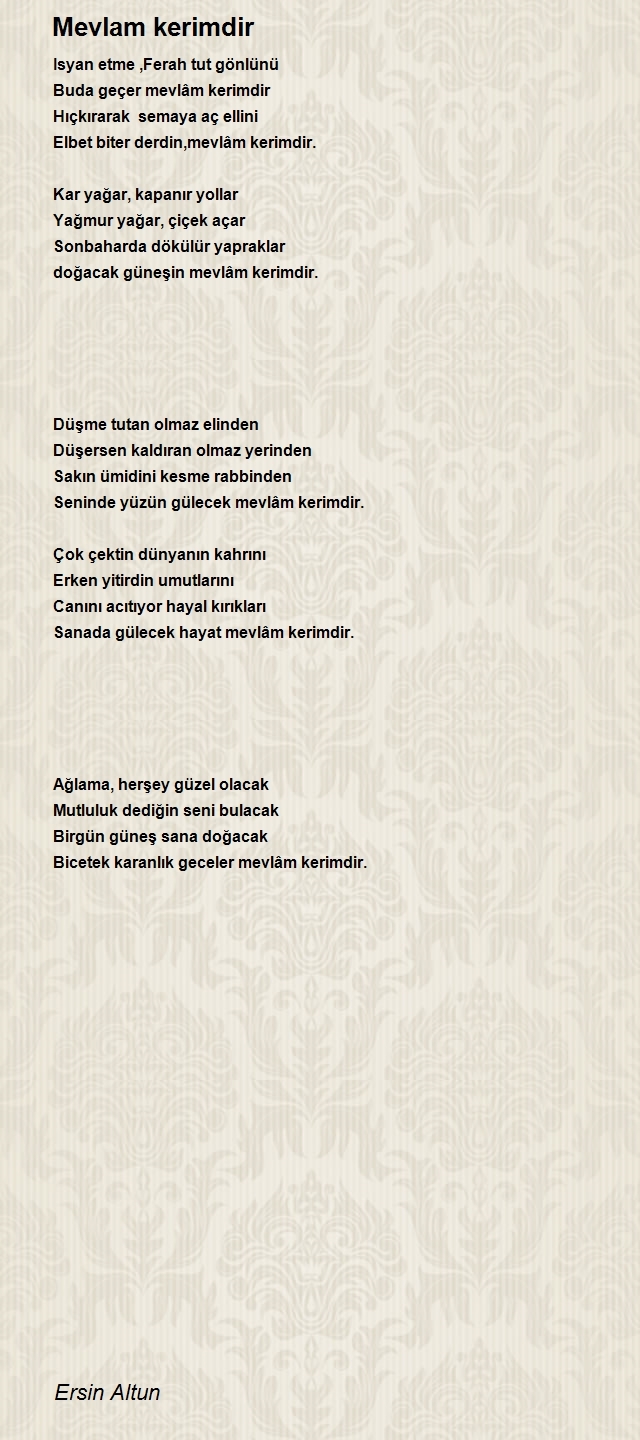 Ersin Altun