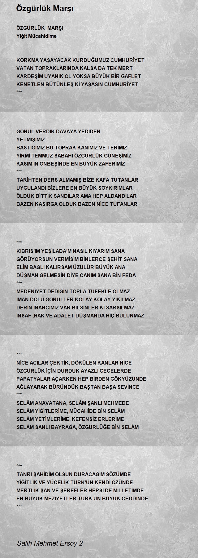 Salih Mehmet Ersoy 2