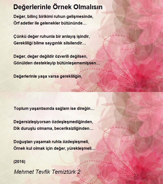 Mehmet Tevfik Temiztürk 2