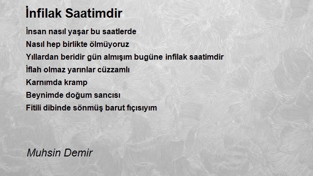Muhsin Demir