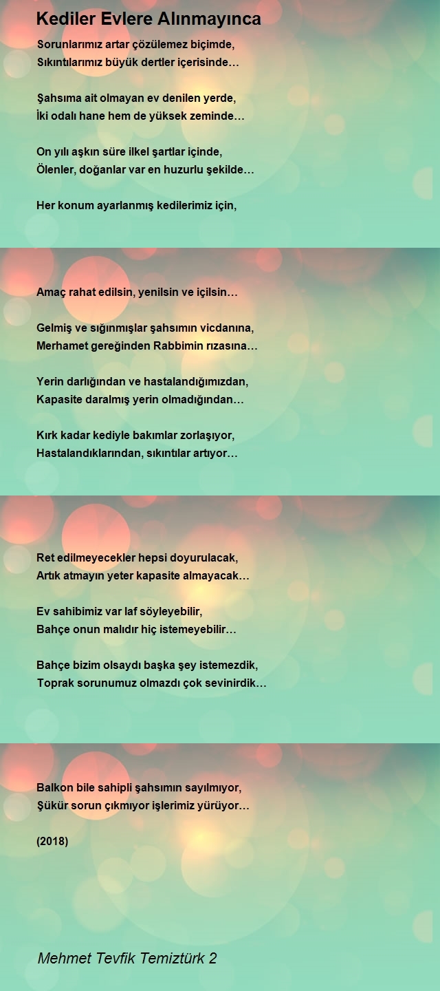 Mehmet Tevfik Temiztürk 2