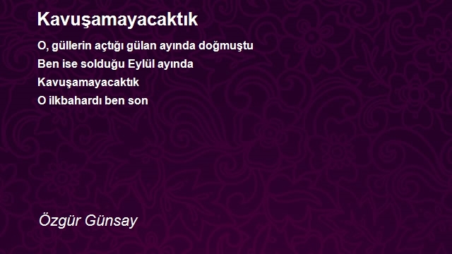 Özgür Günsay