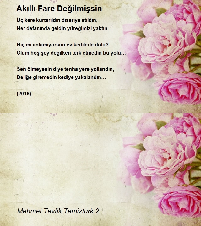 Mehmet Tevfik Temiztürk 2