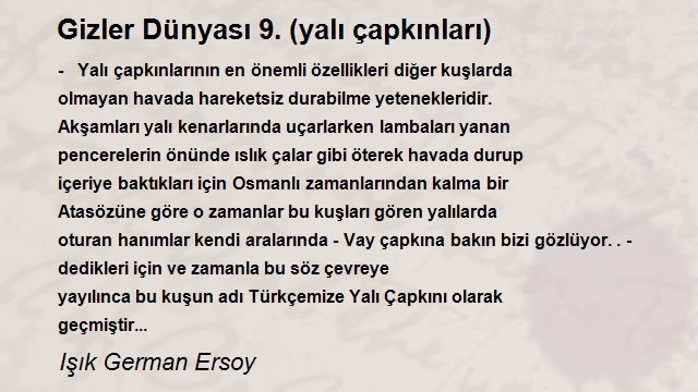 Işık German Ersoy
