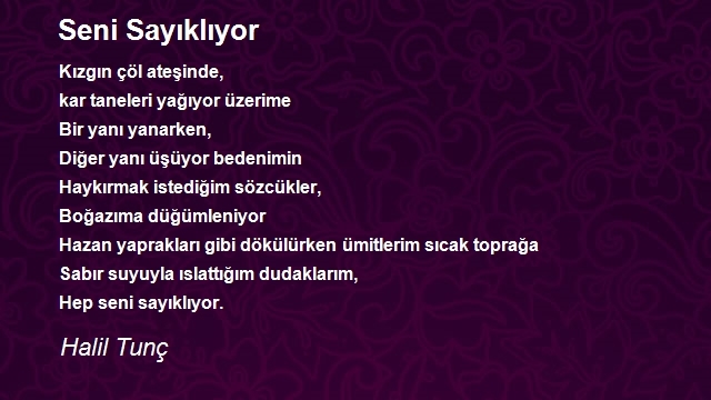 Halil Tunç