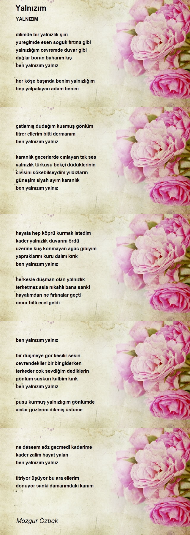 Mözgür Özbek