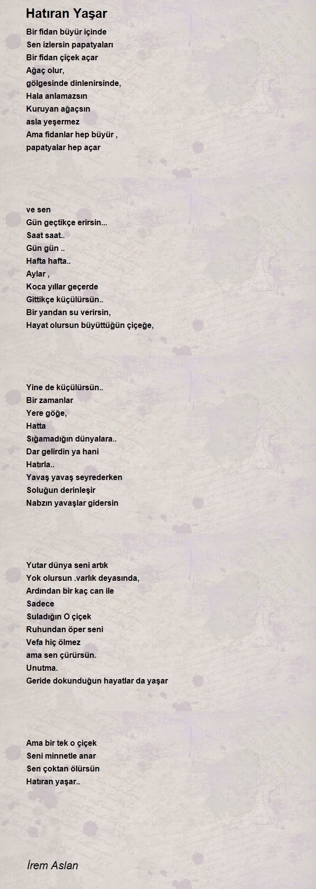 İrem Aslan