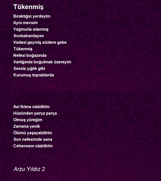 Arzu Yıldız 2