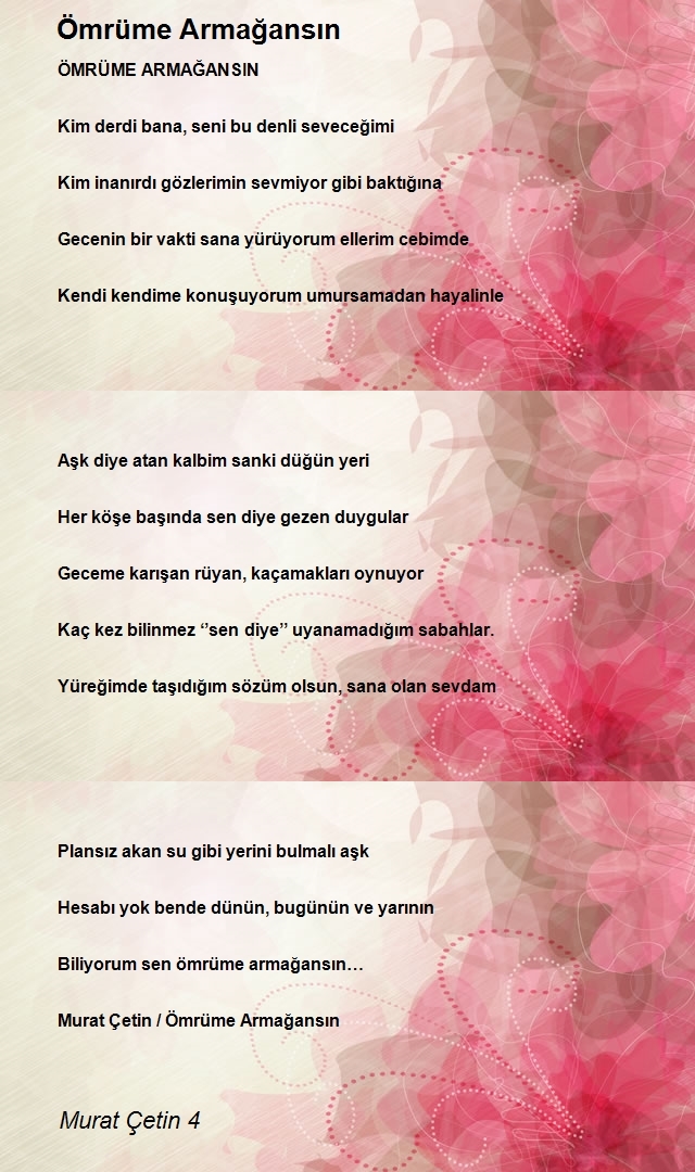 Murat Çetin 4