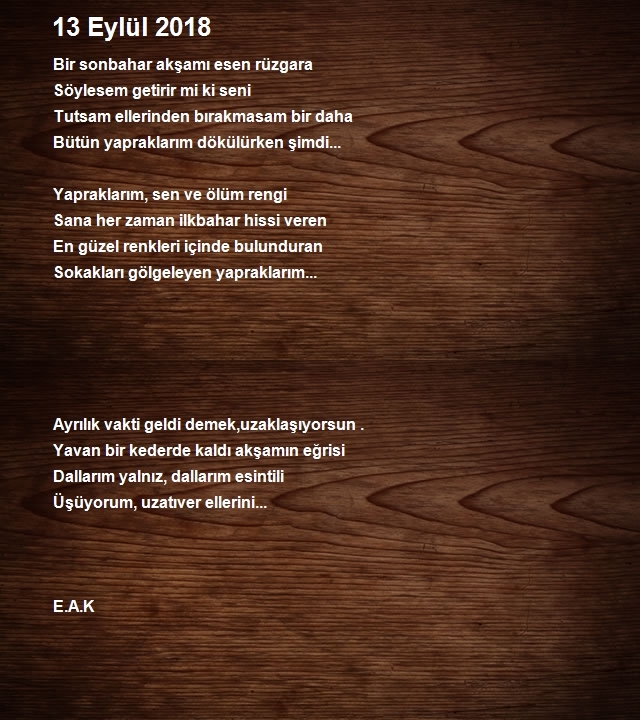 Alper Kaya 2