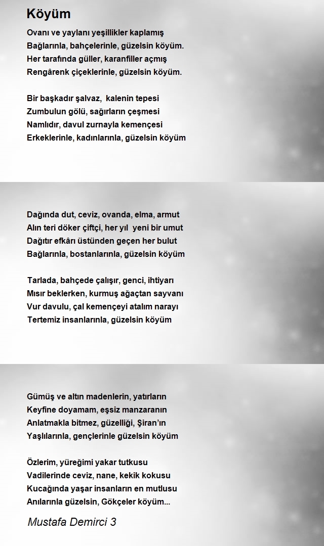 Mustafa Demirci 3