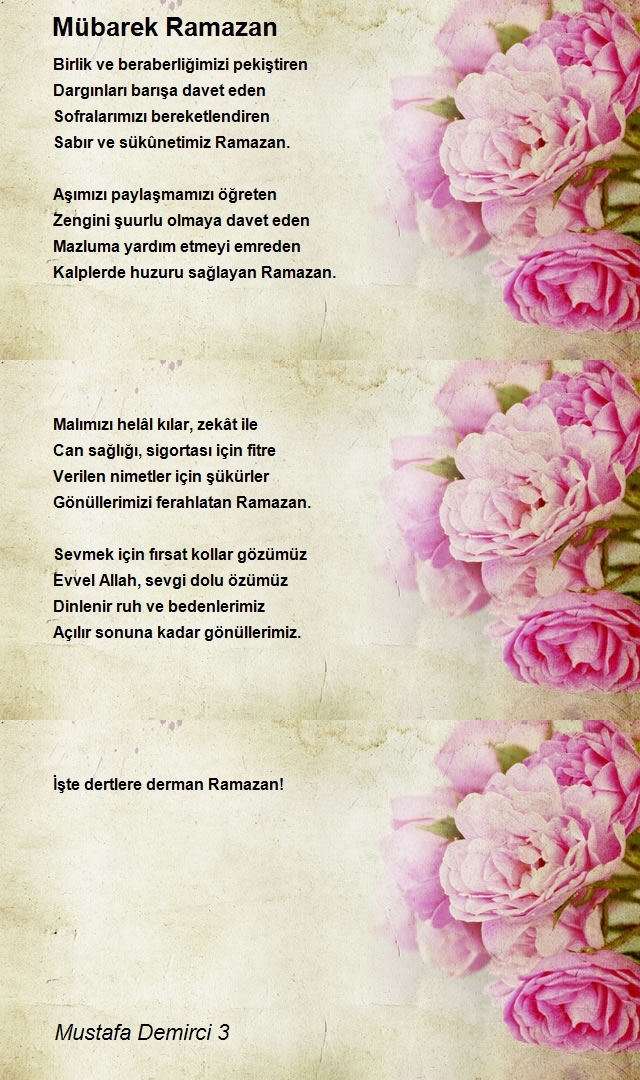 Mustafa Demirci 3
