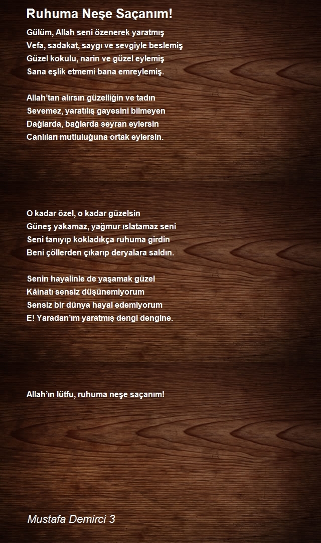 Mustafa Demirci 3