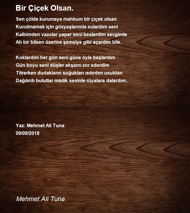 Mehmet Ali Tuna