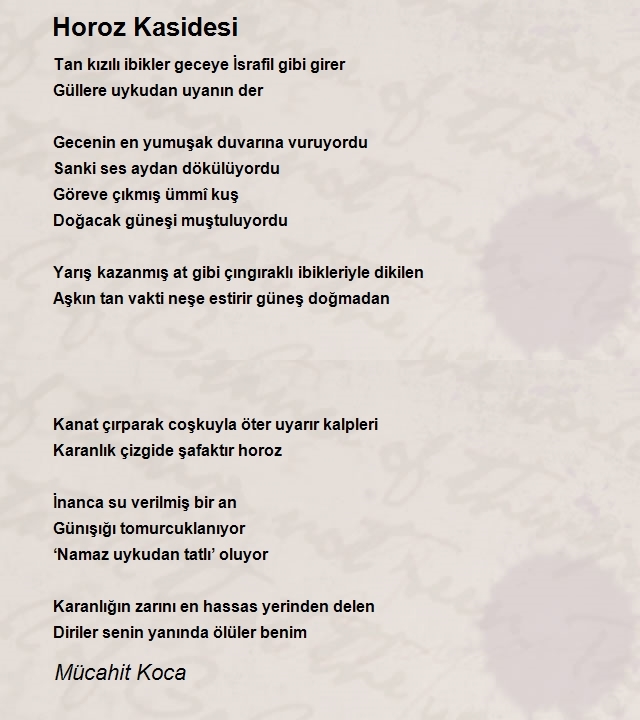 Mücahit Koca