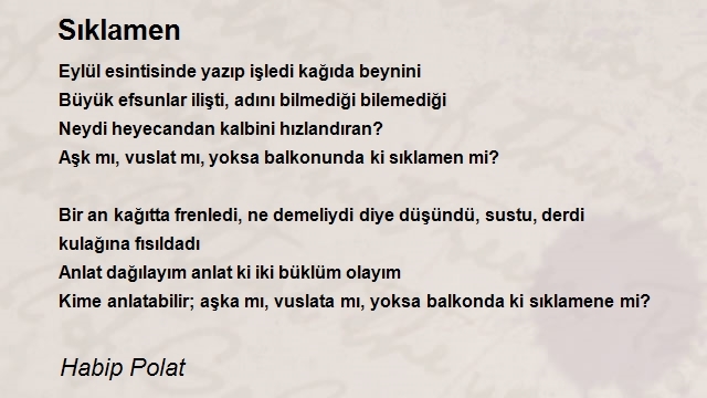 Habip Polat