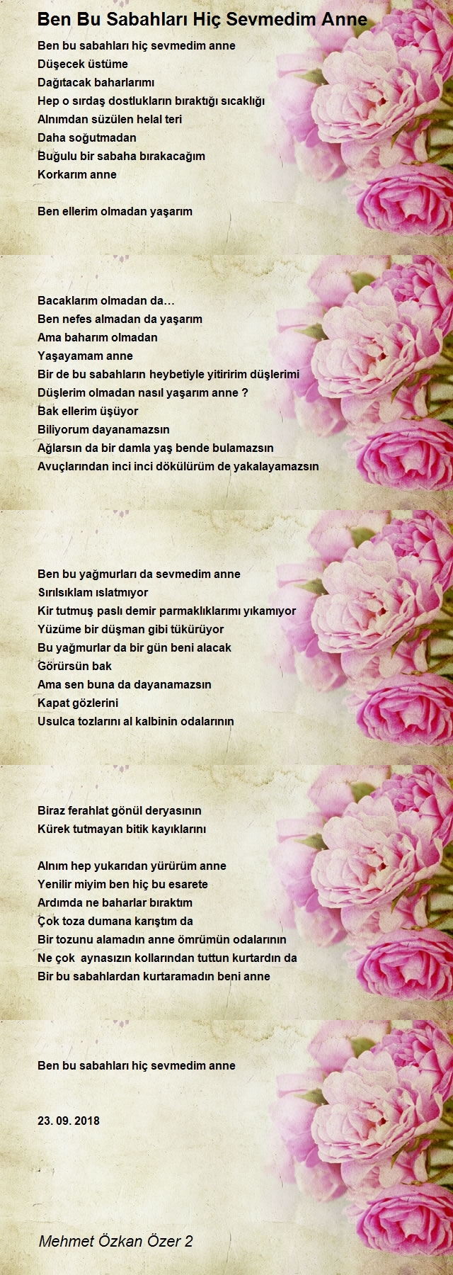 Mehmet Özkan Özer 2