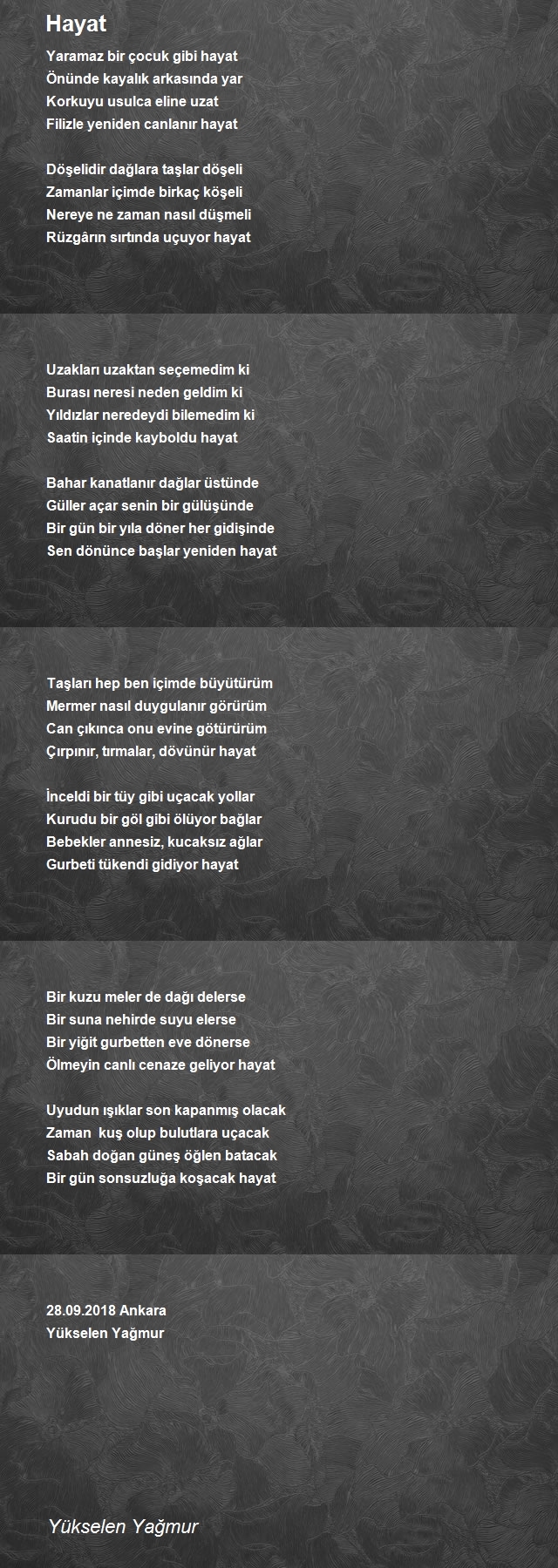 Yükselen Yağmur