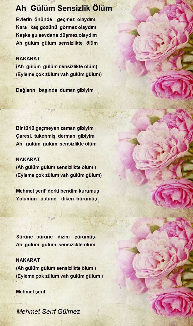 Mehmet Serıf Gülmez