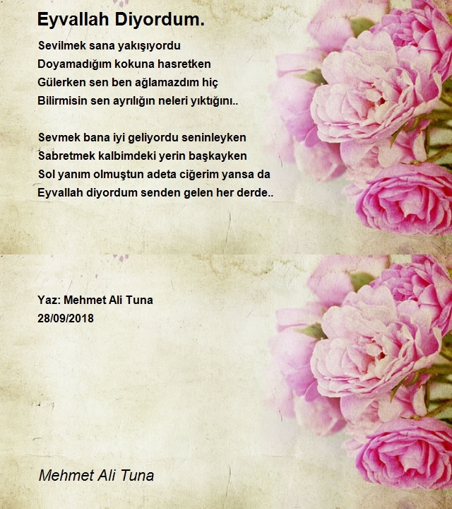 Mehmet Ali Tuna
