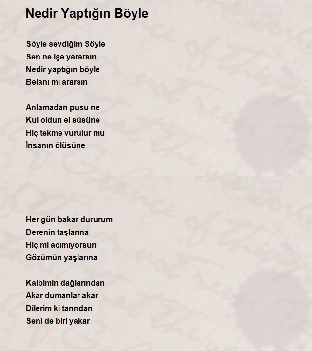 Murat Demir