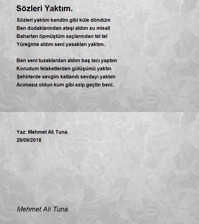 Mehmet Ali Tuna