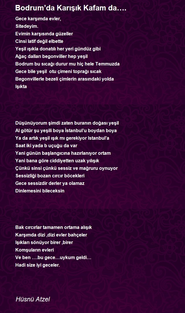 Hüsnü Atzel