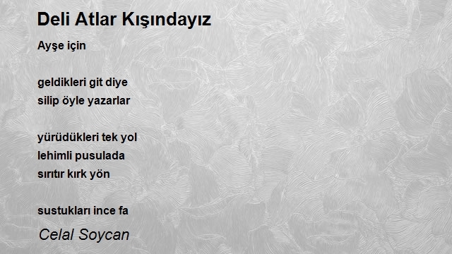 Celal Soycan