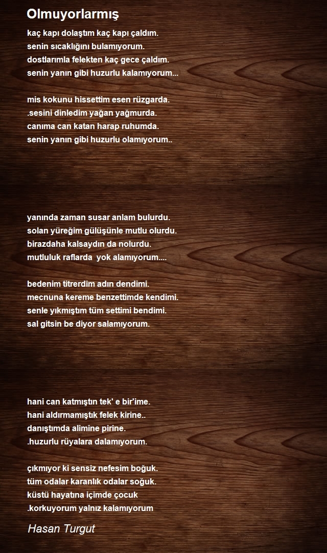 Hasan Turgut