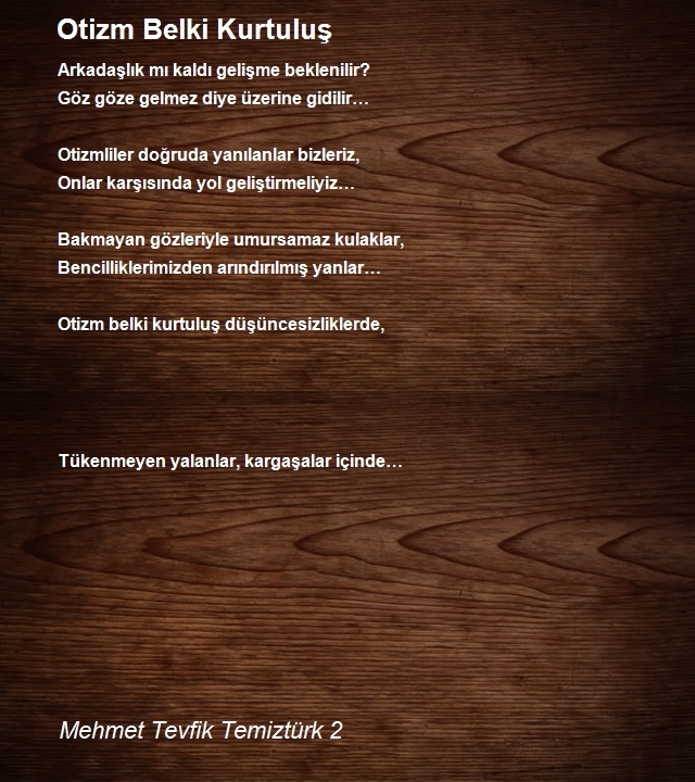 Mehmet Tevfik Temiztürk 2