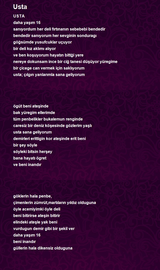 İsmail Kocakaplan 2