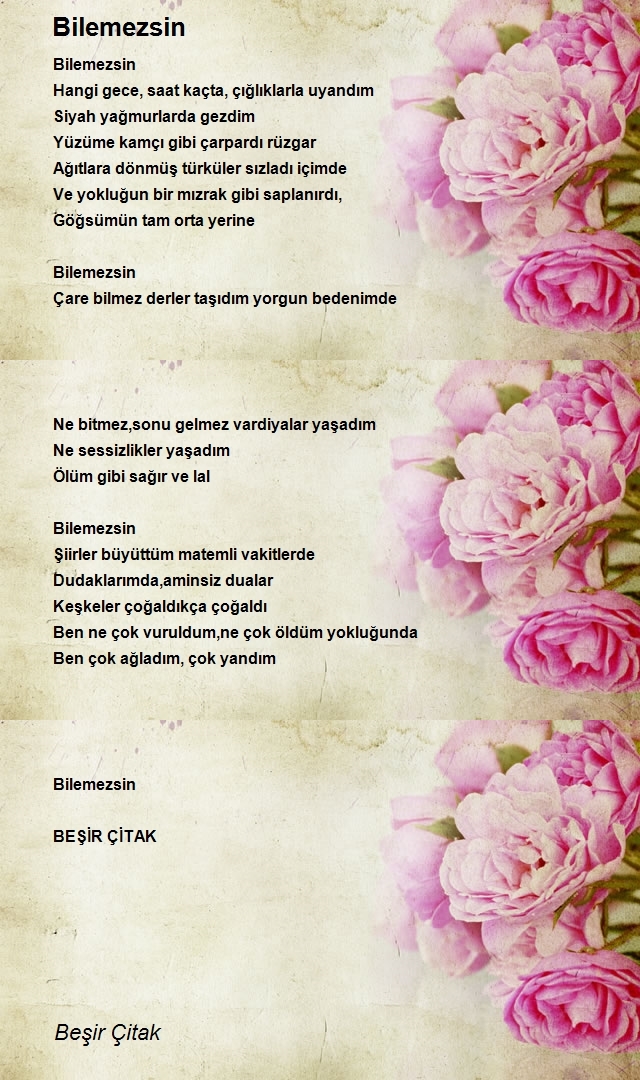 Beşir Çitak