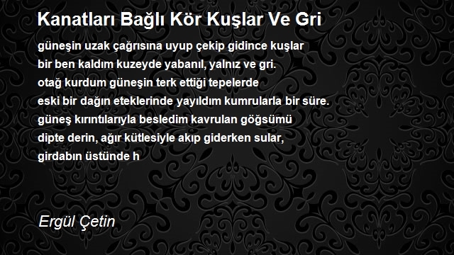 Ergül Çetin