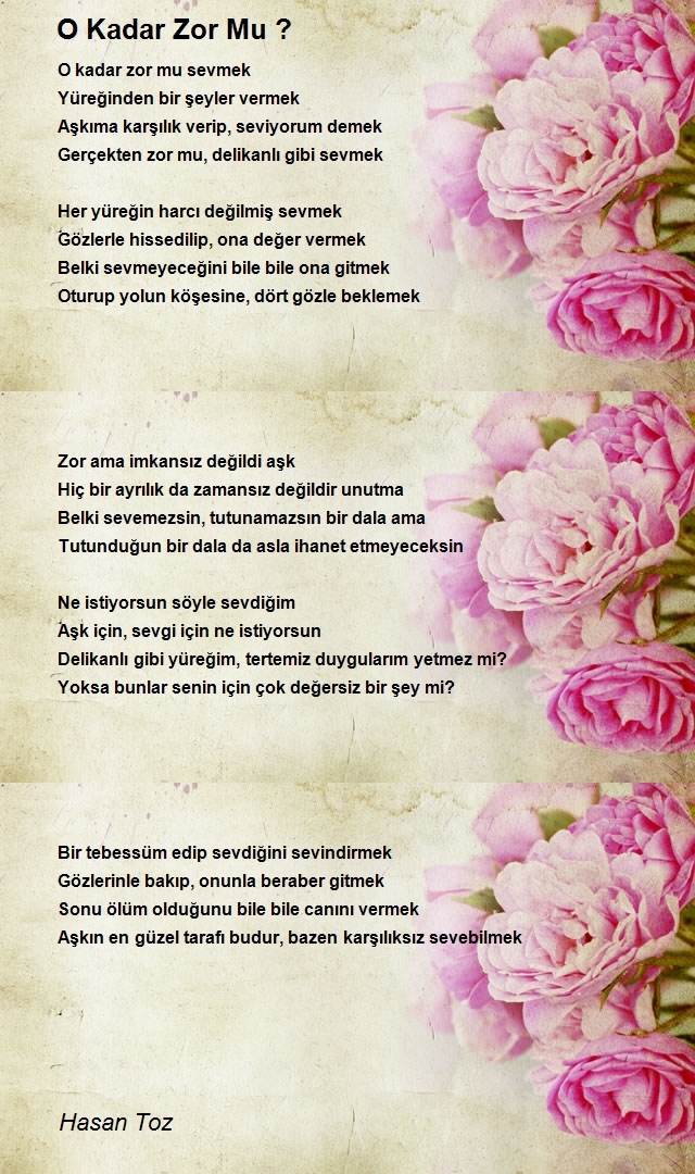 Hasan Toz