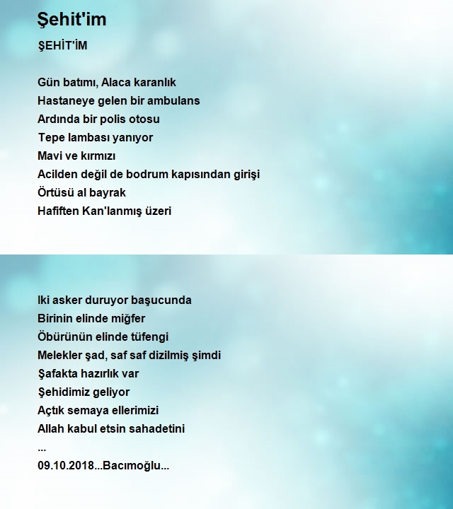 Erhan Arıkan