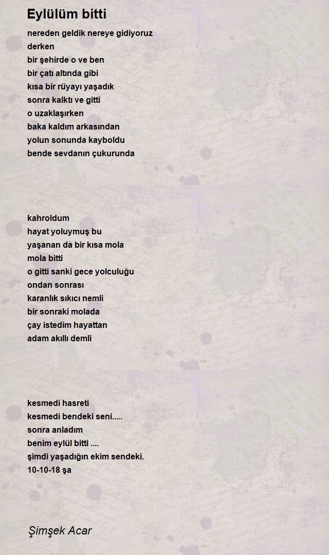 Şimşek Acar