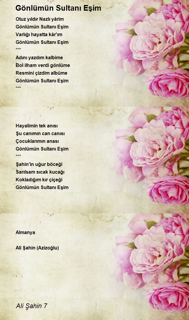Ali Şahin 7