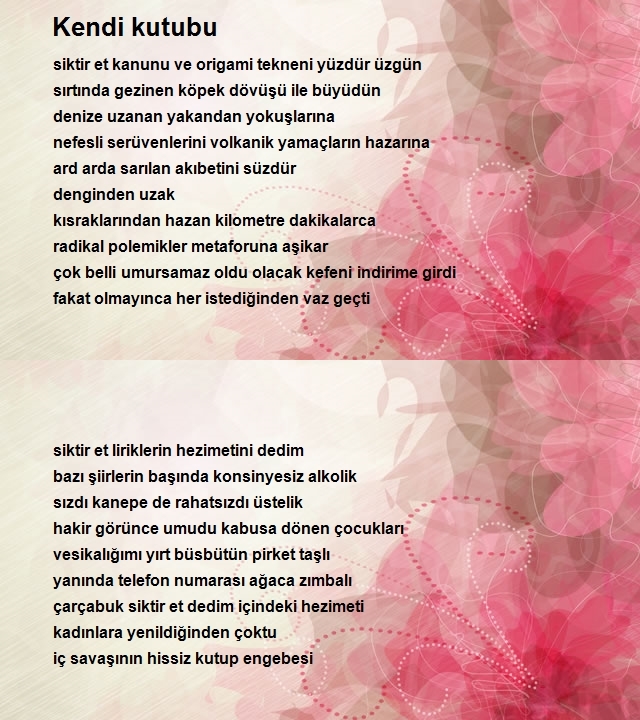 Can Aydeniz