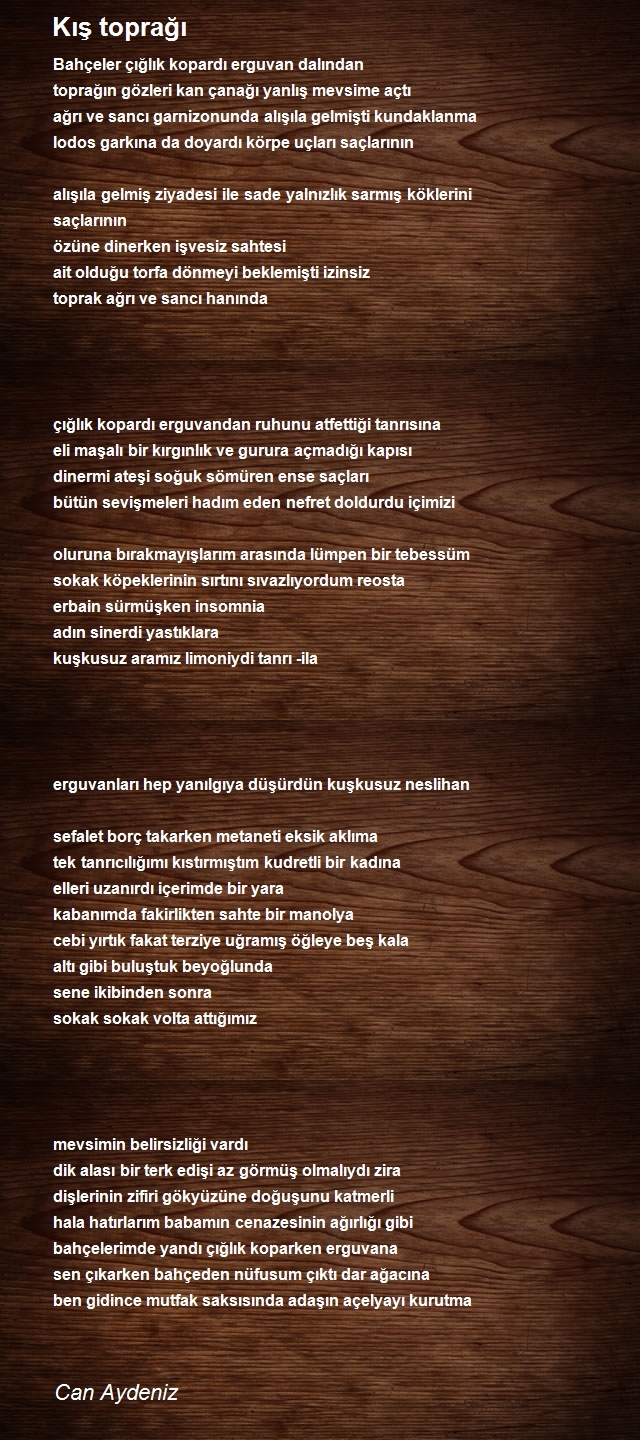 Can Aydeniz