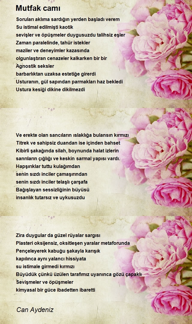 Can Aydeniz