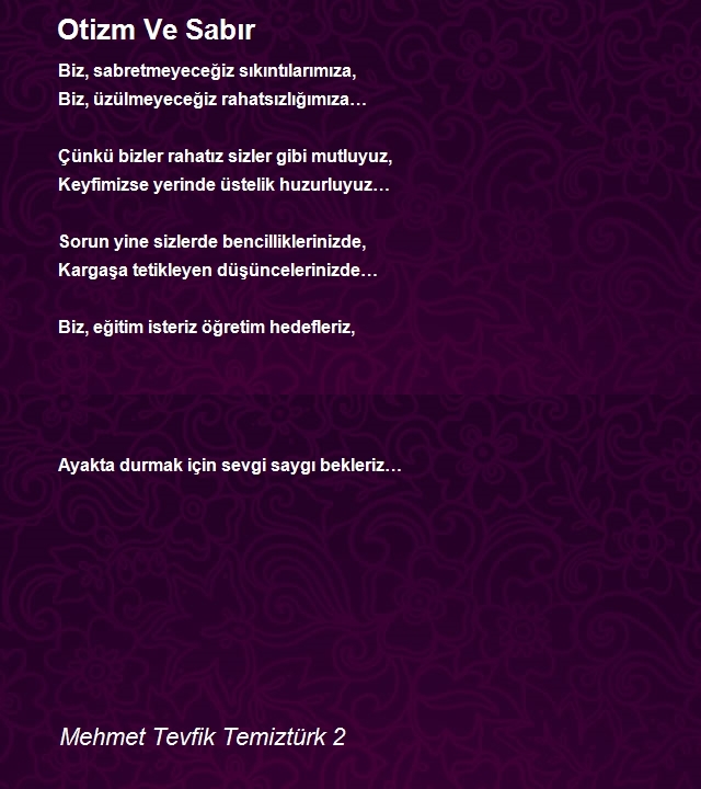 Mehmet Tevfik Temiztürk 2