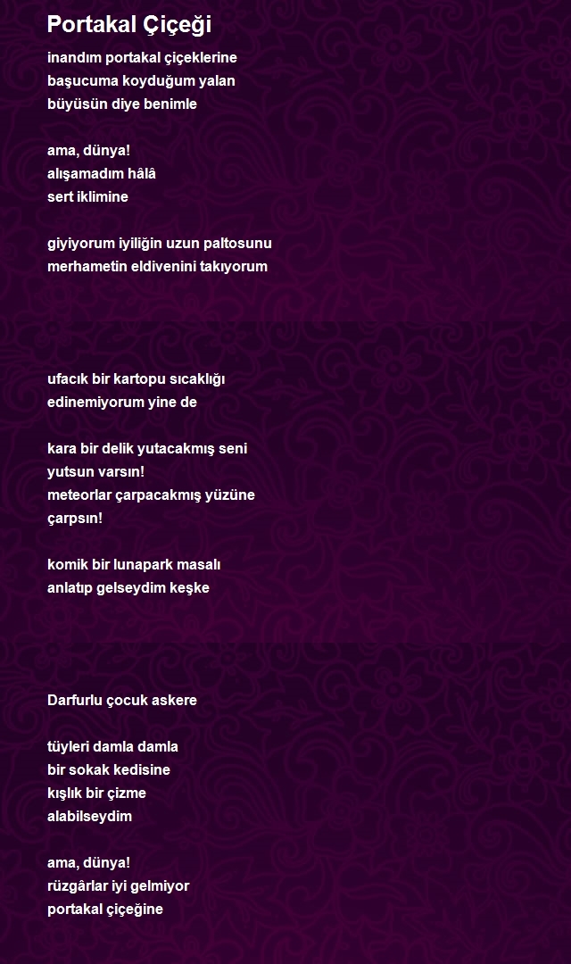 İlyas Tunç
