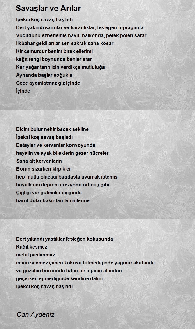 Can Aydeniz