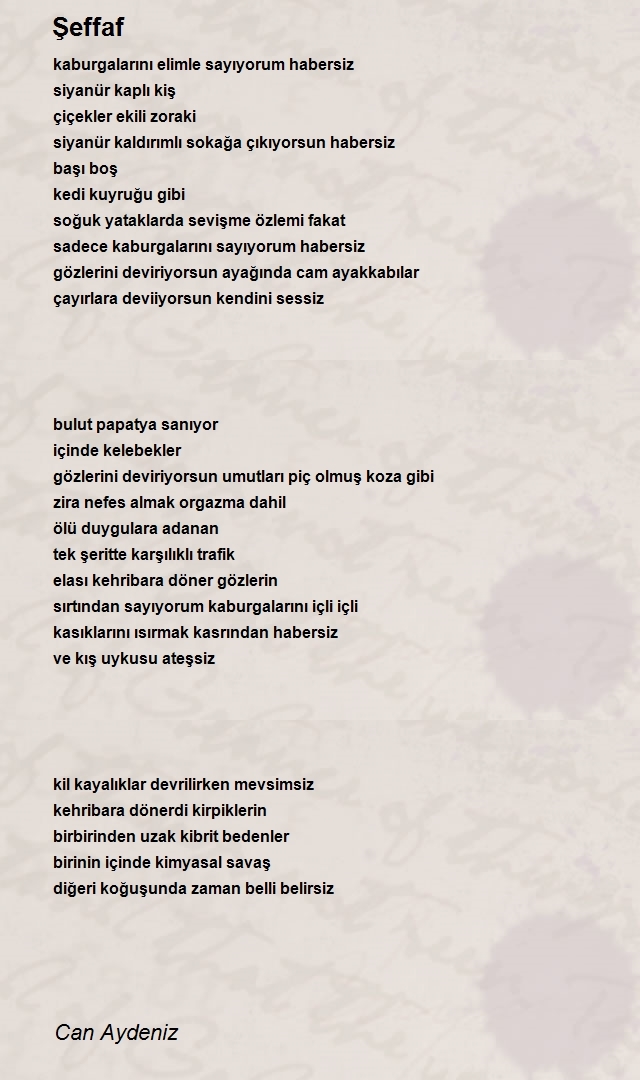 Can Aydeniz