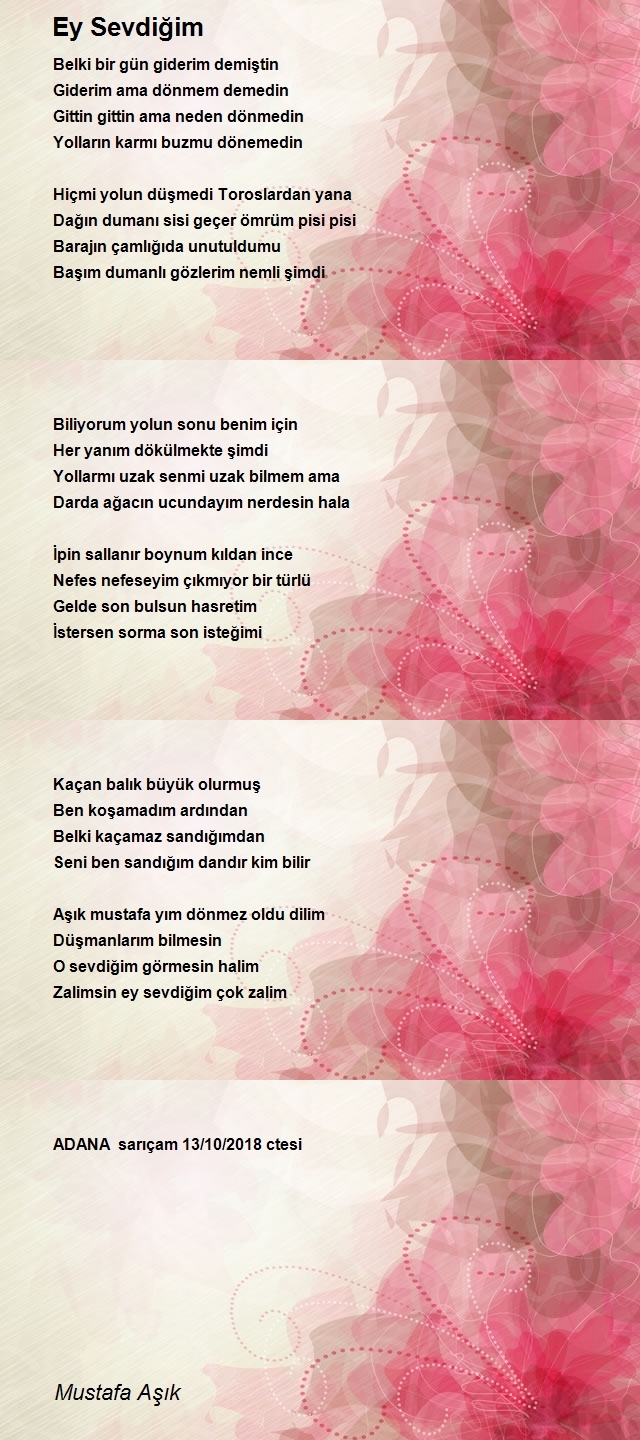 Mustafa Aşık